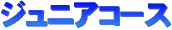 �ʔN���R�̌��A�`���̌��A��O�̌������̃W���j�A�R�[�X�i���w��3�N�`6�N�j